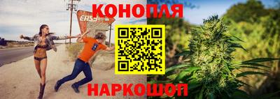 сатива Апшеронск